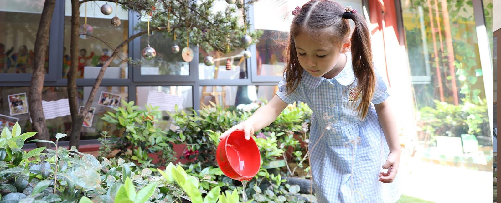 Sustainability and Global Citizenship